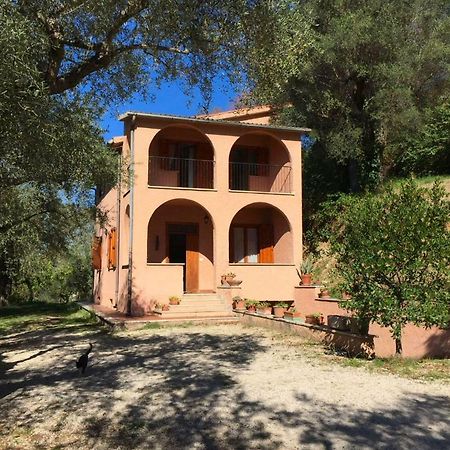 Argentella House Villa Palombara Sabina ภายนอก รูปภาพ