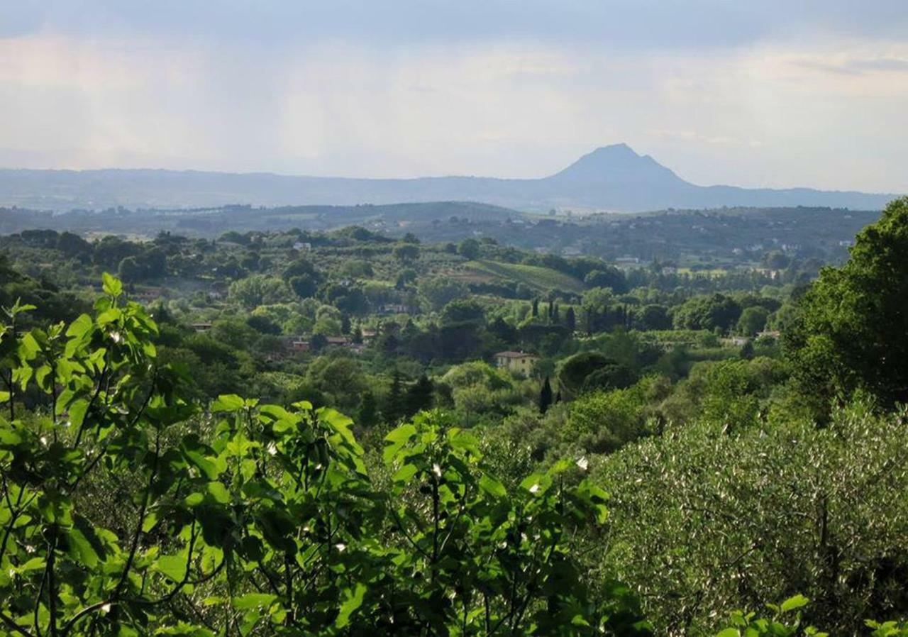 Argentella House Villa Palombara Sabina ภายนอก รูปภาพ