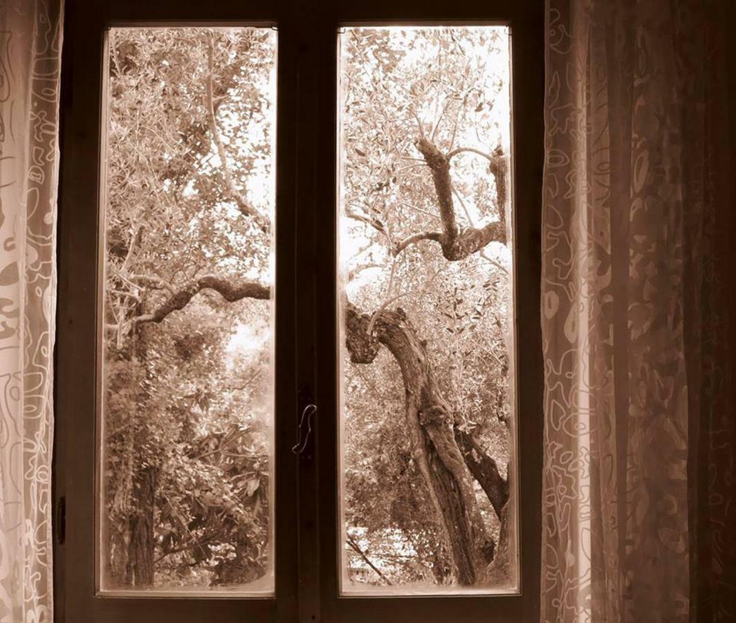 Argentella House Villa Palombara Sabina ภายนอก รูปภาพ