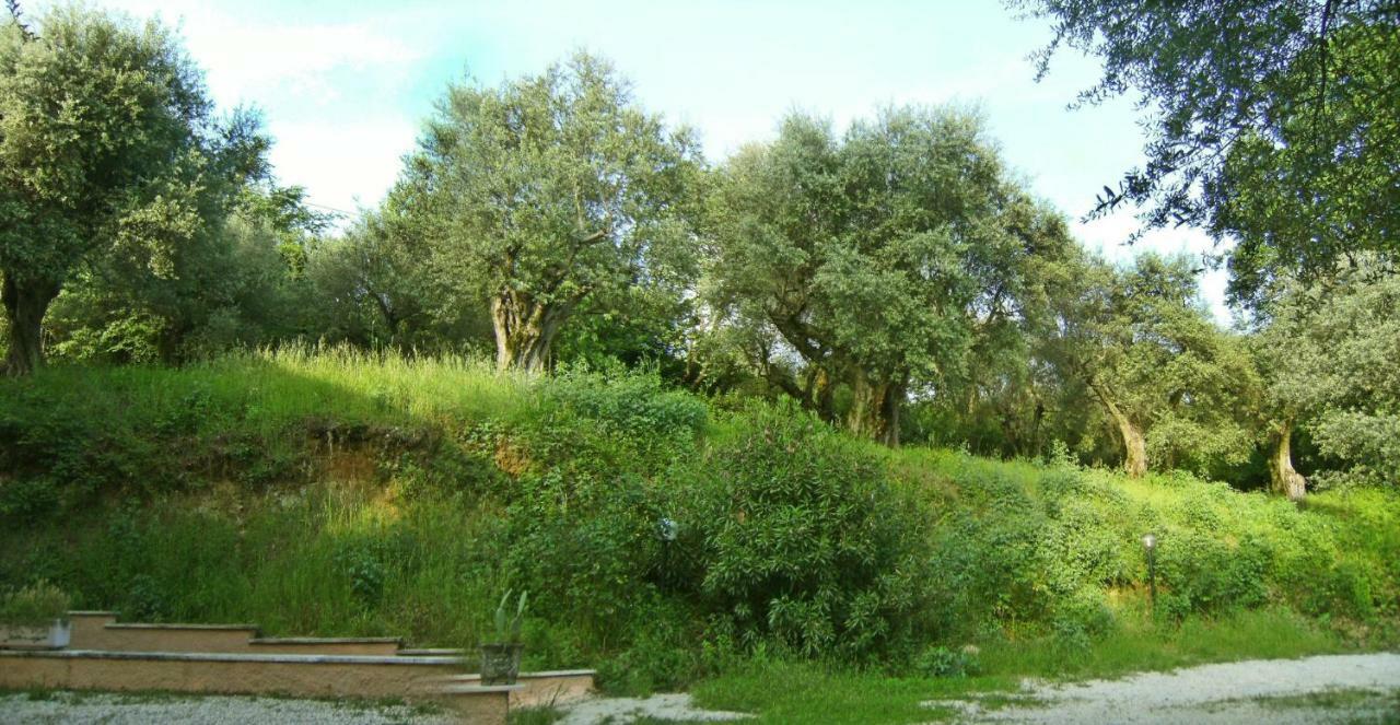 Argentella House Villa Palombara Sabina ภายนอก รูปภาพ